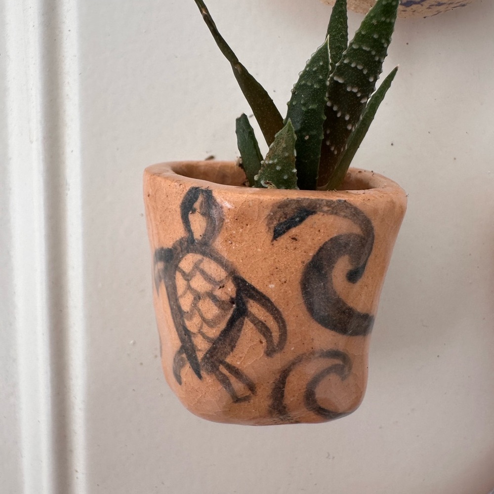 Handcrafted Magnet Mini Planter with Turtle Design